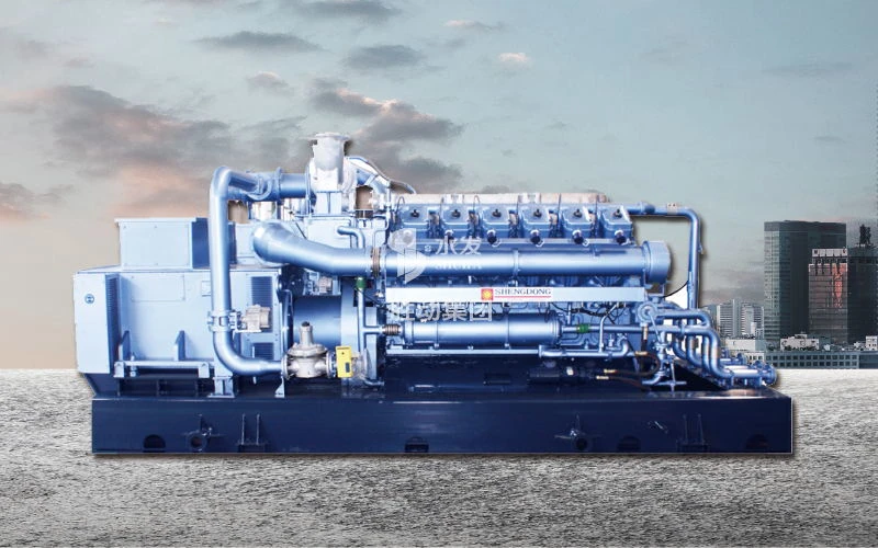 Shengdong 12V190 Series