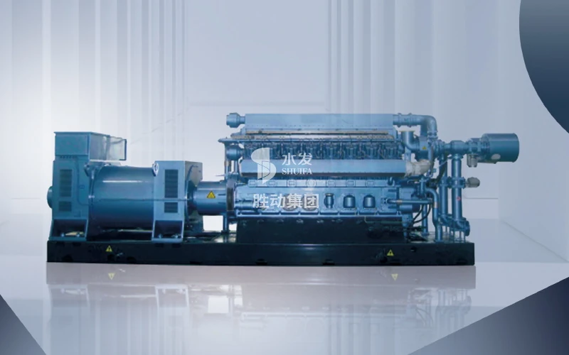 Shengdong 16V190 Series