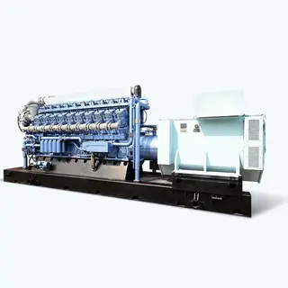 Shengdong Biogas Generator Set
